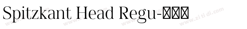 Spitzkant Head Regu字体转换 Spitzkant Head Regu字体转换